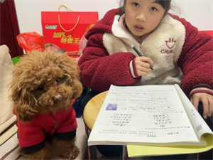 图片廖家逸mian