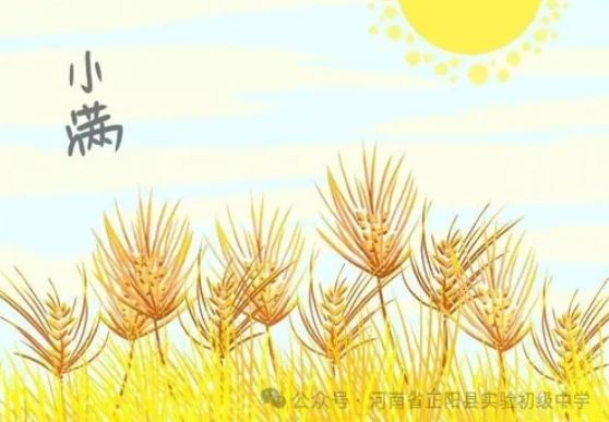 微信截图_20250514084635