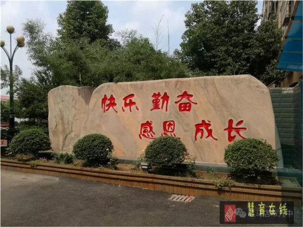 带花冠的病毒，你为什么那么坏？