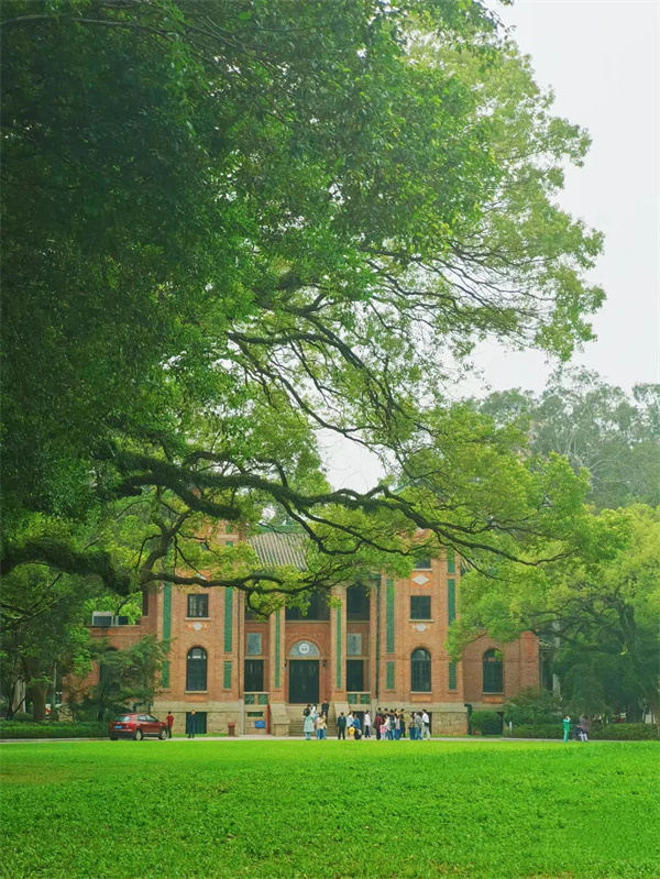 听说这是大学四年最好的安排
