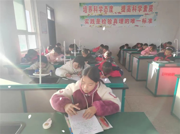 墨香流韵绘心景，才情横溢谱华章——寒冻镇中心小学作文竞赛活动