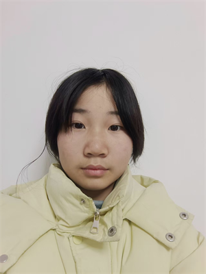 正阳人的春节