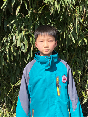 屋后的小树林