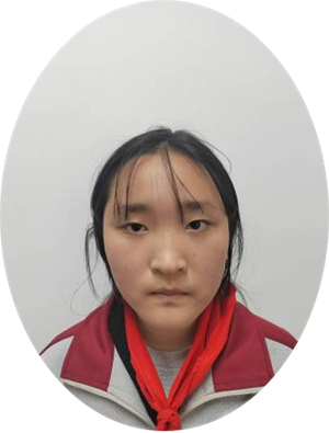 我在挑战中成长