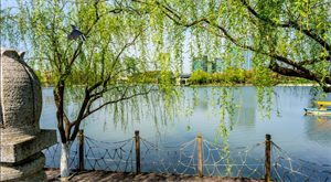 春天的美景