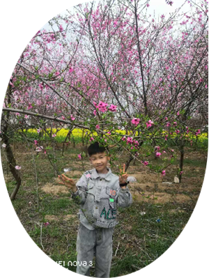 寻找春天的足迹