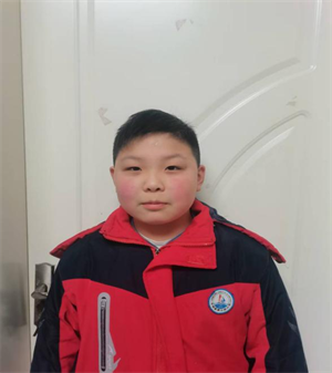 我的动物朋友