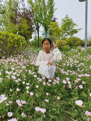 游植物园