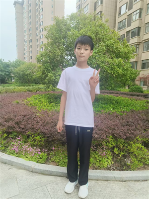 梧桐树下的答案