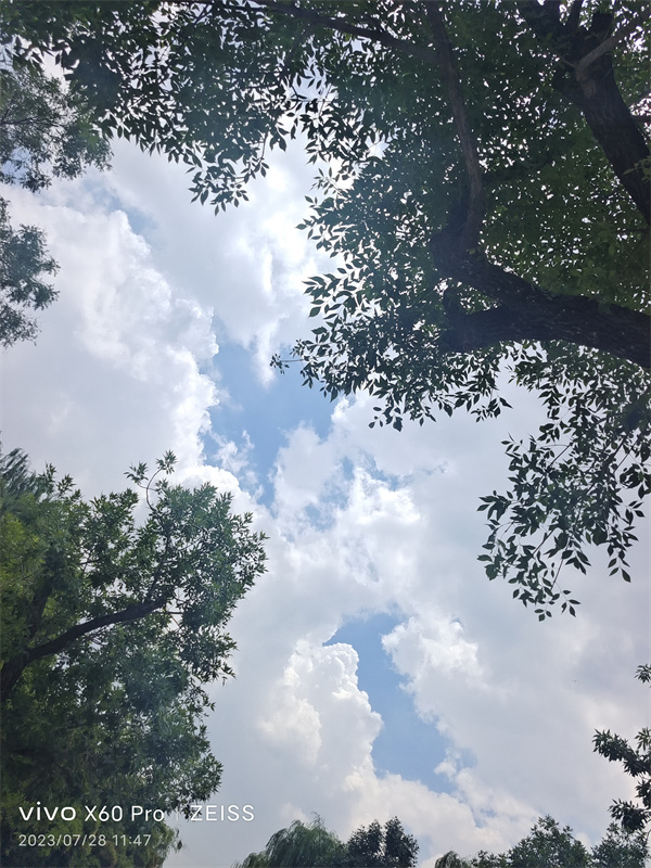 那一刻春暖花