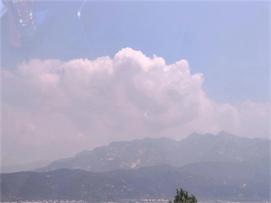 小猫波波