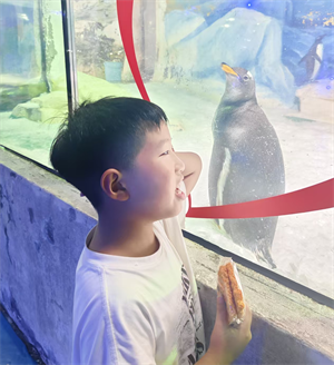 奇妙的海洋馆