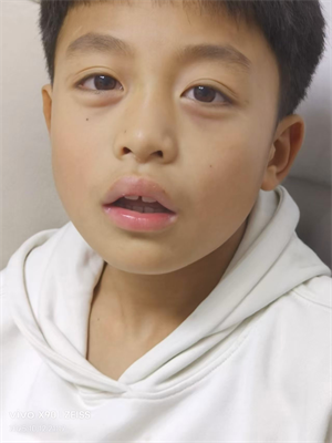 我的动物一家人