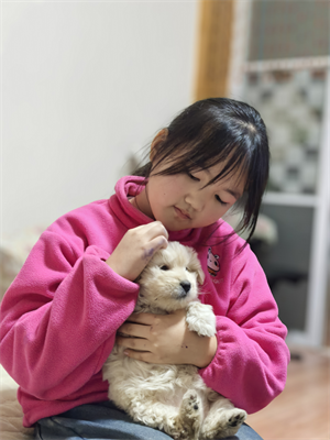 战胜恐惧,独自走夜路