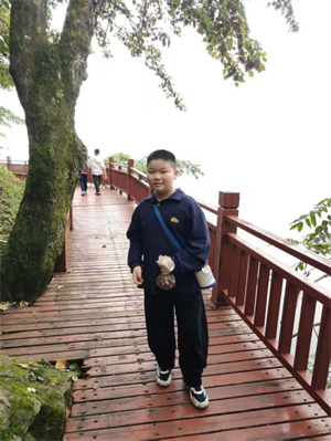 严中有智的朱老师