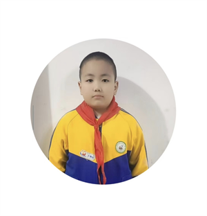 《宝葫芦的秘密》读后感