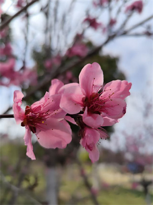 温暖的幸福，藏在生活的褶皱里