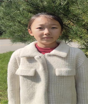 一只风筝的故事