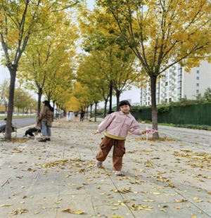 小兔子的胡萝卜园奇遇