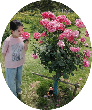 我的“漫画”朋友