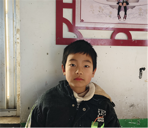 红树林真是个好地方