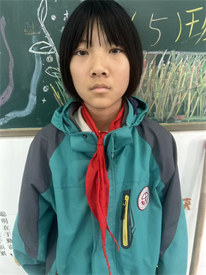 色彩里的小世界