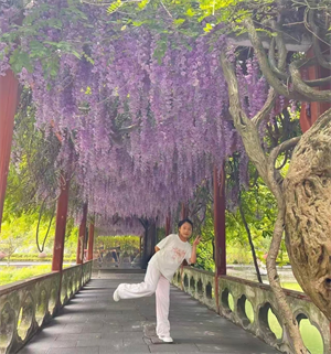 我的欢乐源泉—庄园