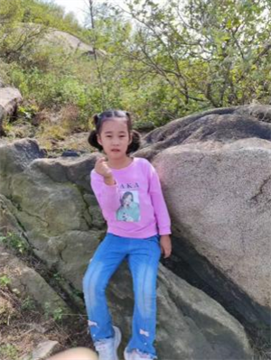 我的植物朋友—荷花