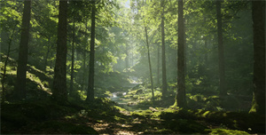 在天晴了的时候