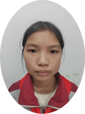 《汤姆·索亚历险记》梗概