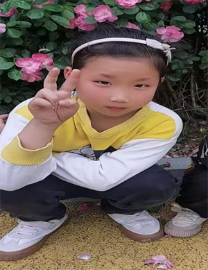 我家的小菜园