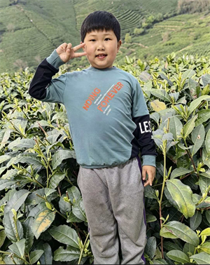采茶乐