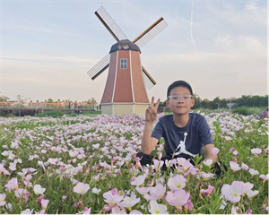我的心愿