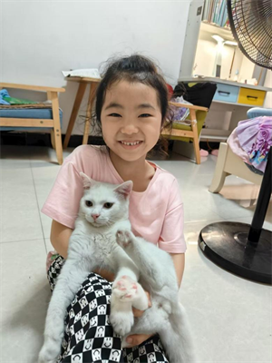 我家的小猫