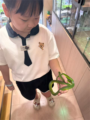 丢三落四的爸爸
