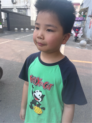 梧桐树下的旧书摊