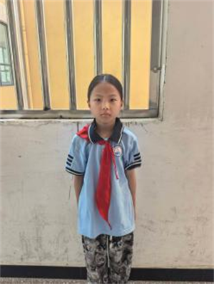 校园的四季