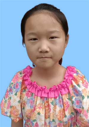 种子的旅行