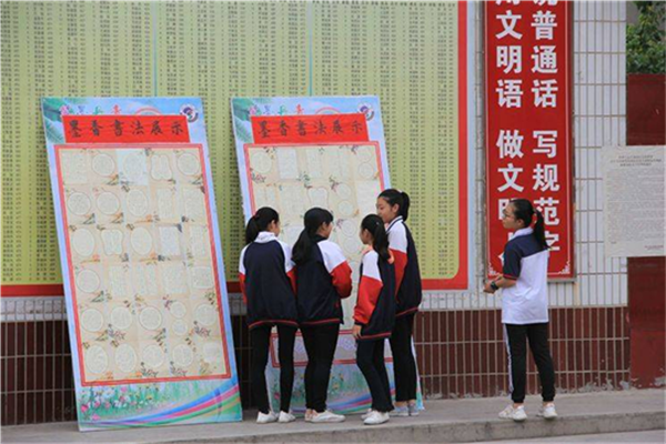 图片1