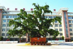 河南省正阳县第一小学利用多种形式喜迎祖国七十华诞
