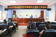 2020年驿城区学校共青团和少先队工作会议召开