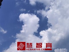 小小“动物园”