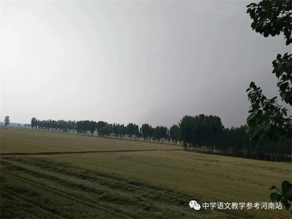 微信图片_20220613100016