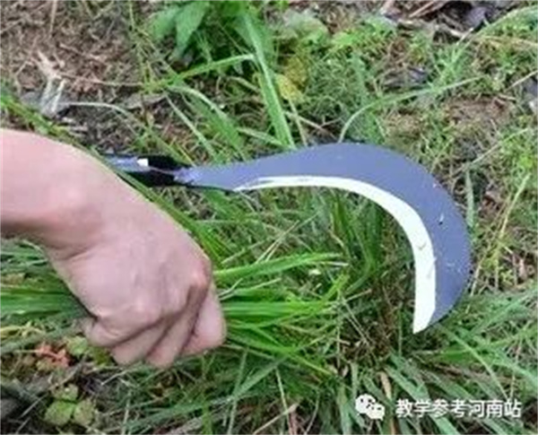 微信图片_20220620163342