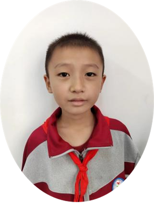 花生小镇，真是个好地方正阳县第三小学 四（4）班  李浩森
