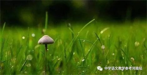 微信图片_20220916150305