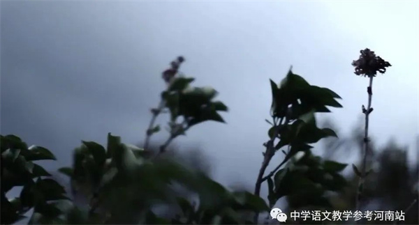 微信图片_20220919195748