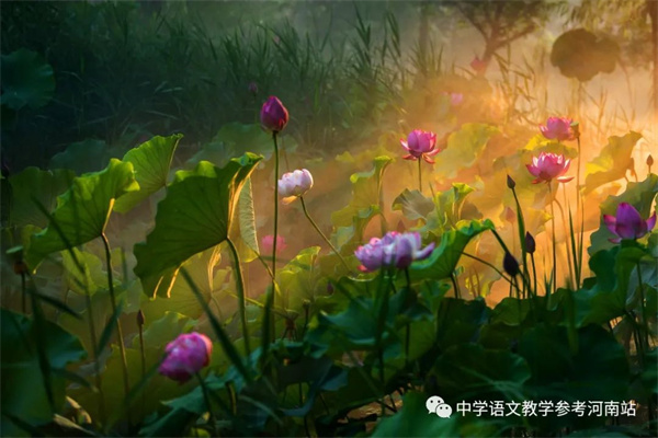 微信图片_20220919195752