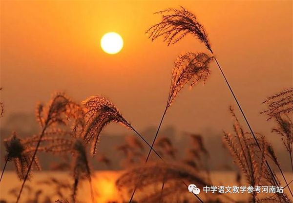 微信图片_20220919195755