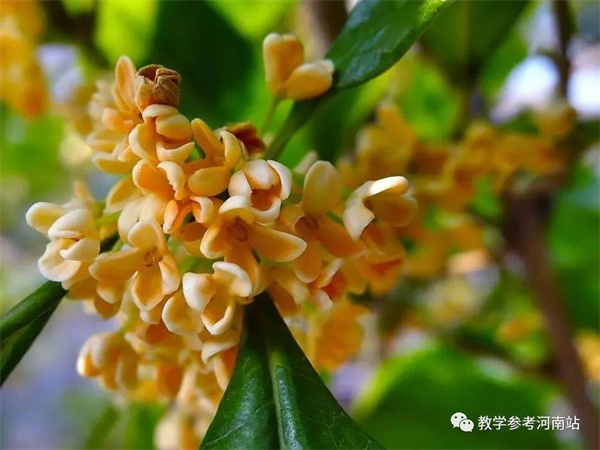 微信图片_20220919200034